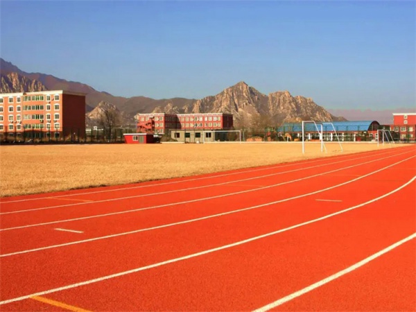 双鸭山市塑胶弹性面层学校塑胶跑道 - 一站式服务